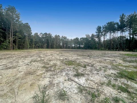 Vacant Land For Sale - 14342 Springfield Rd<br/> Walker, LA 70785