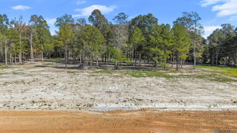 Vacant Land For Sale - N-2-D-2 Little Azalea Drive<br/> Zachary, LA 70791