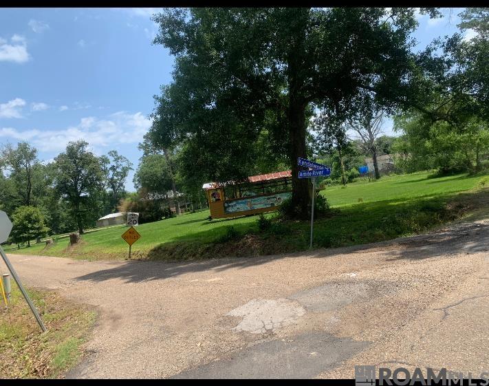 Amite River Rd, Baton Rouge, Louisiana image 3