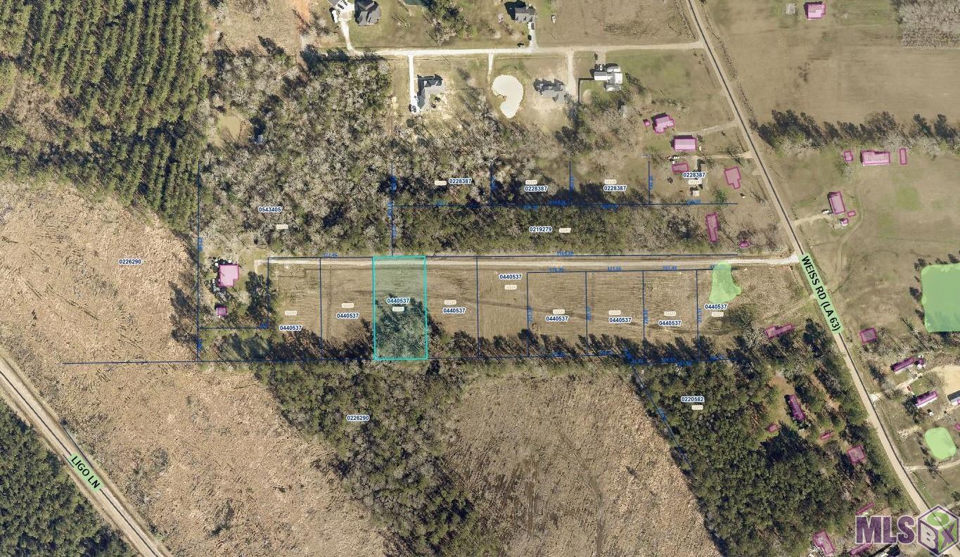 Lot 4 Weiss Rd, Walker, Louisiana image 4