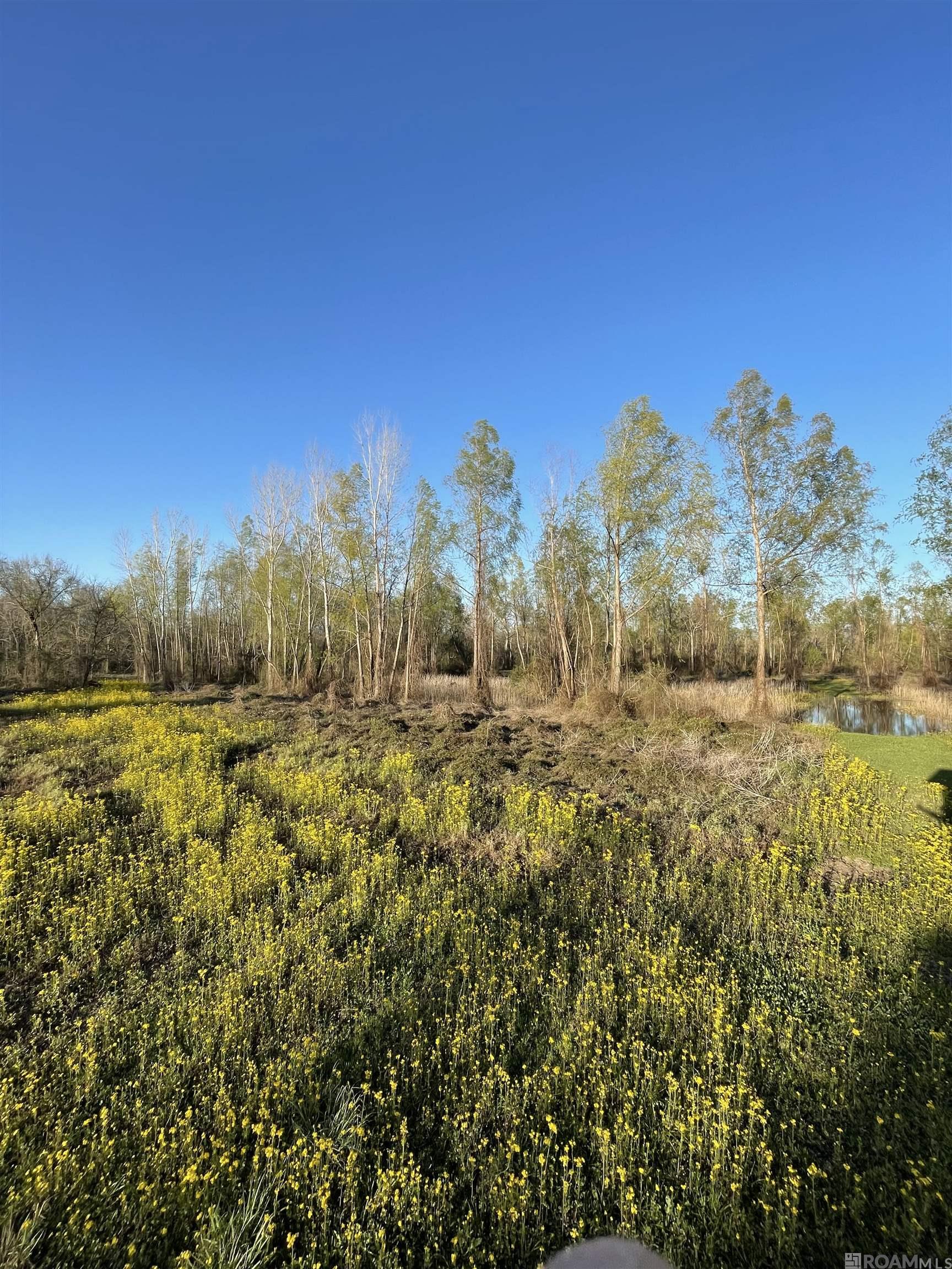 TBD Cat Island Rd, Saint Francisville, Louisiana image 25