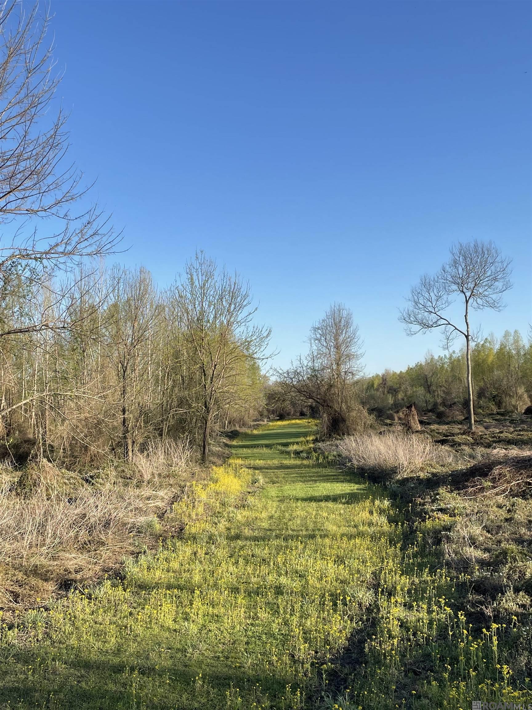 TBD Cat Island Rd, Saint Francisville, Louisiana image 24