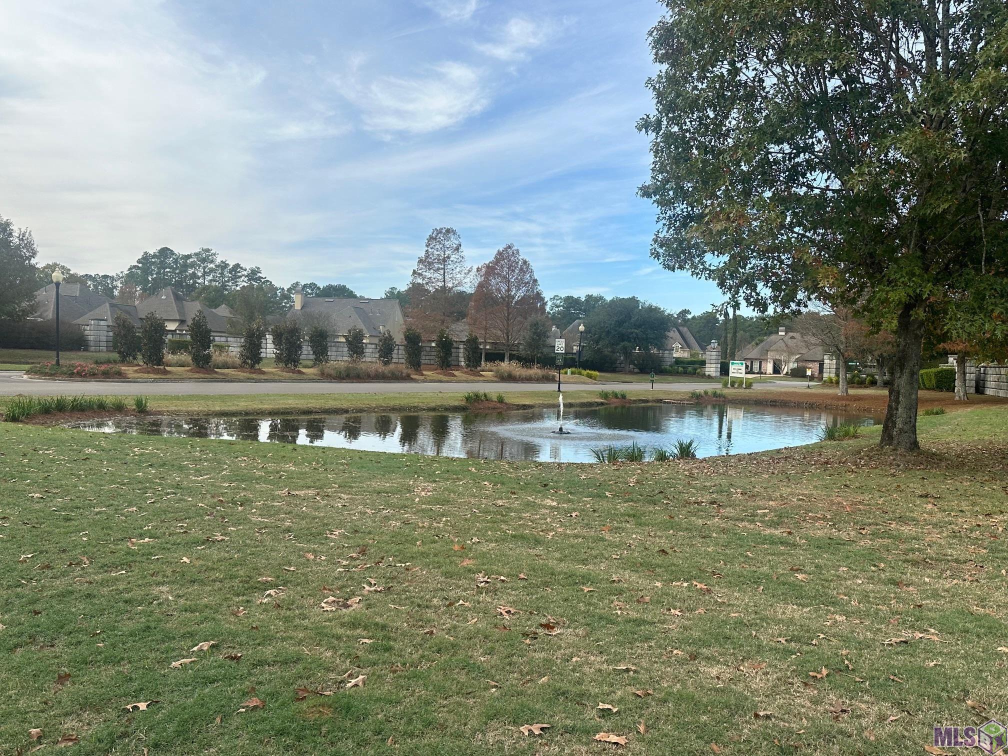 Lot 218 Somerset Hills Ct, Denham Springs, Louisiana image 3