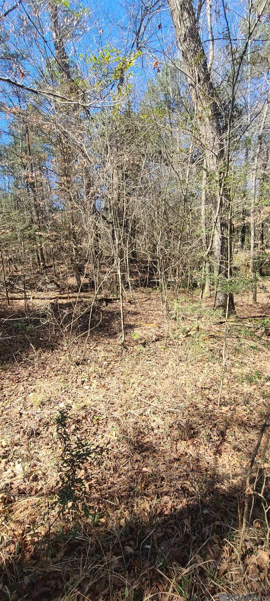 TBD Mckenzie Road, Tylertown, Mississippi image 3