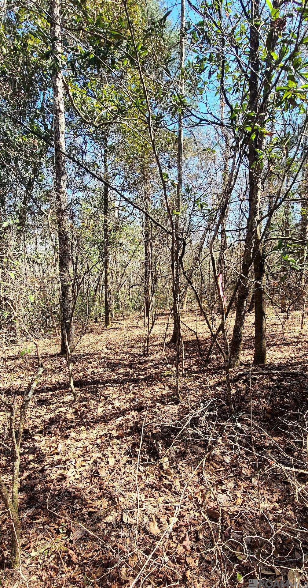 TBD Mckenzie Road, Tylertown, Mississippi image 2
