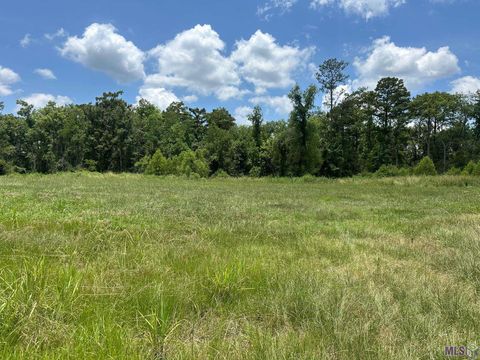 Vacant Land For Sale - TBD Pintail St<br/> Springfield, LA 70462