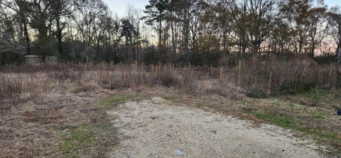 Vacant Land For Sale - 8755 Rome Dr<br/> Central, LA 70818