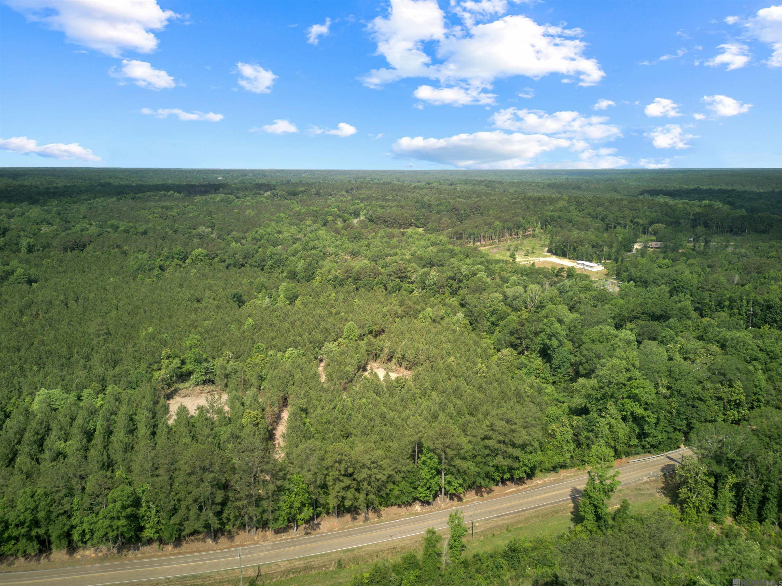 Lot 1 Hwy 62, Franklinton, Louisiana image 12
