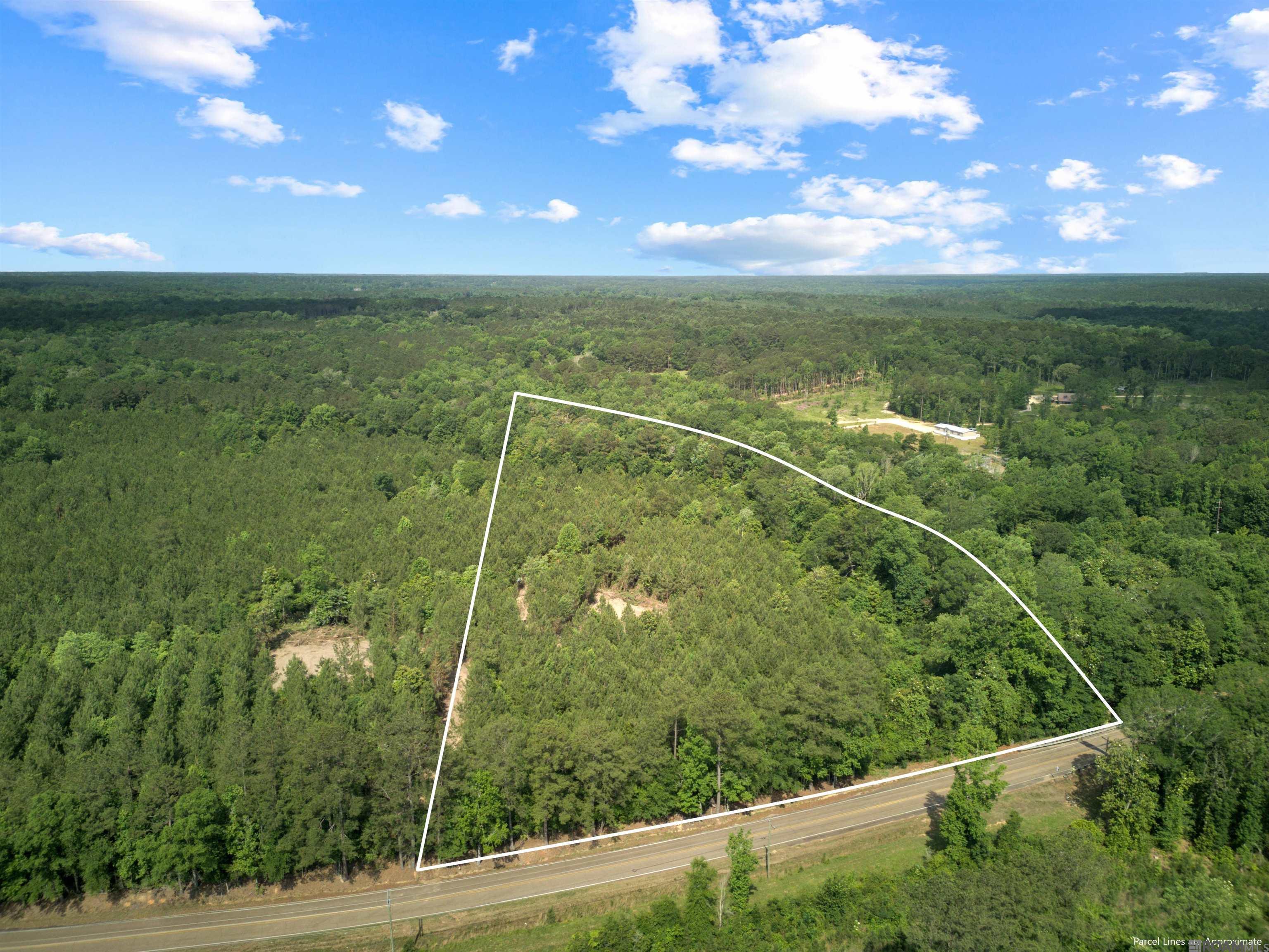 Lot 1 Hwy 62, Franklinton, Louisiana image 14