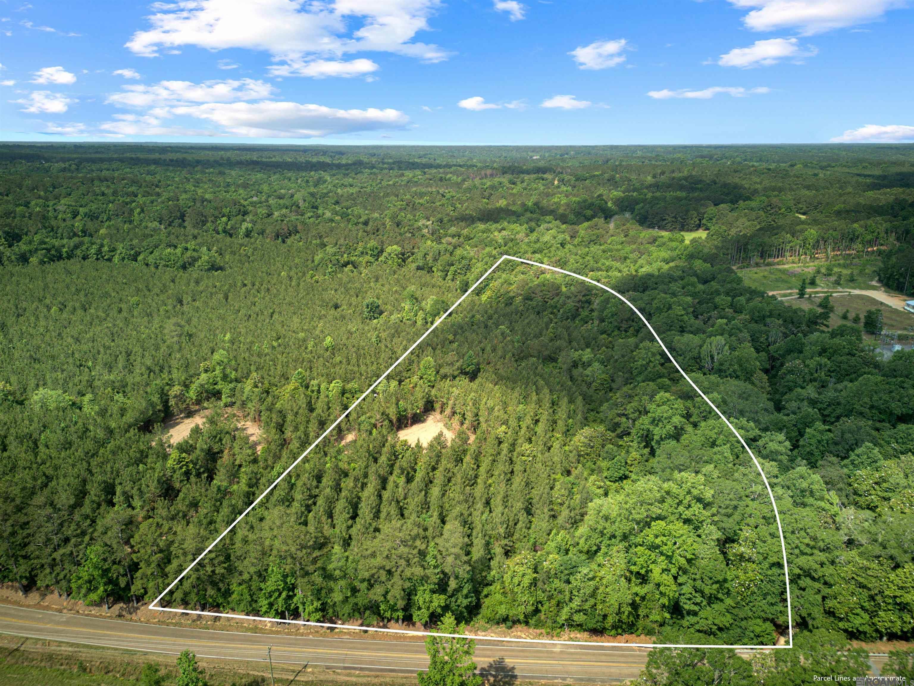 Lot 1 Hwy 62, Franklinton, Louisiana image 2