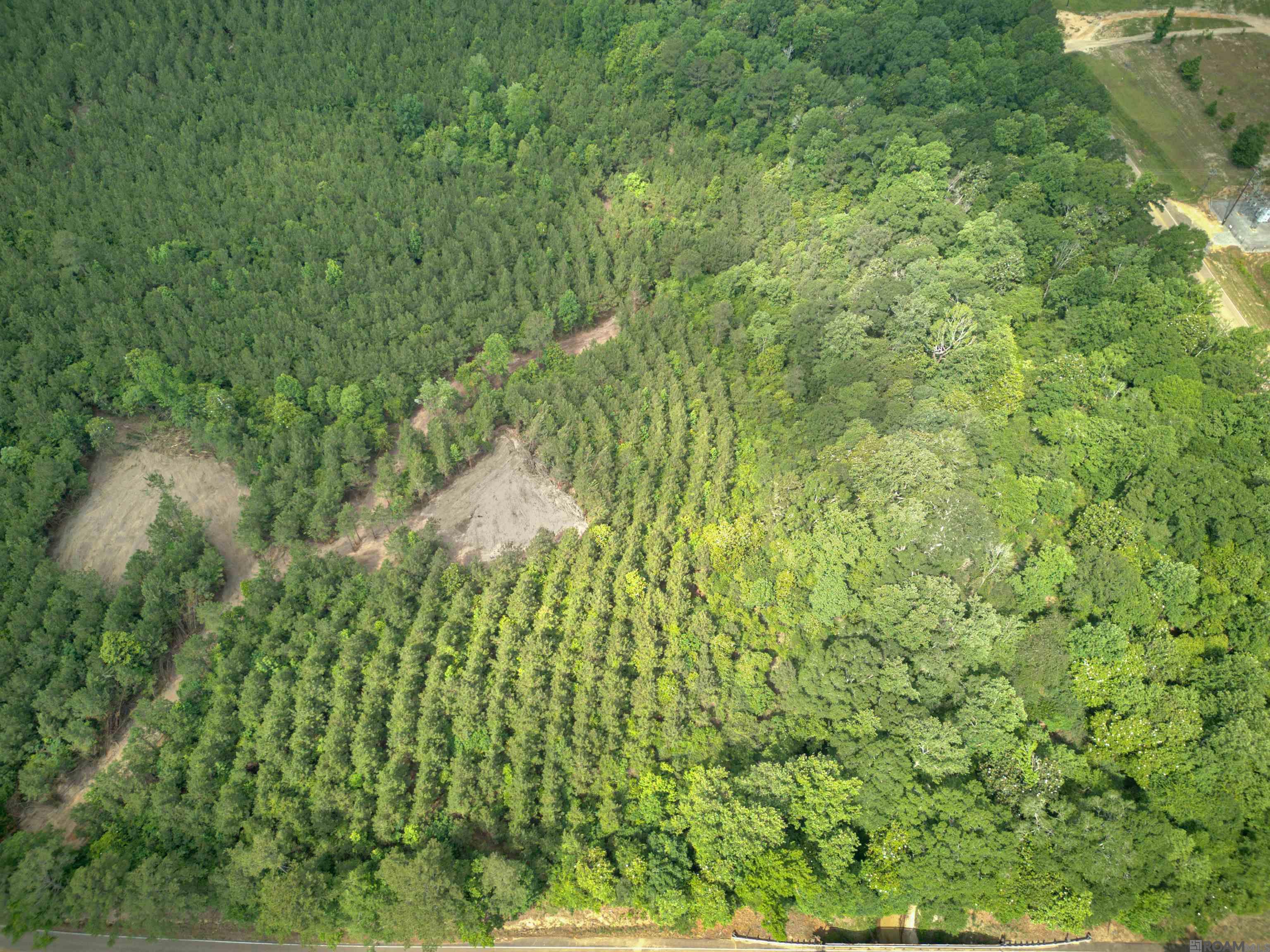 Lot 1 Hwy 62, Franklinton, Louisiana image 9