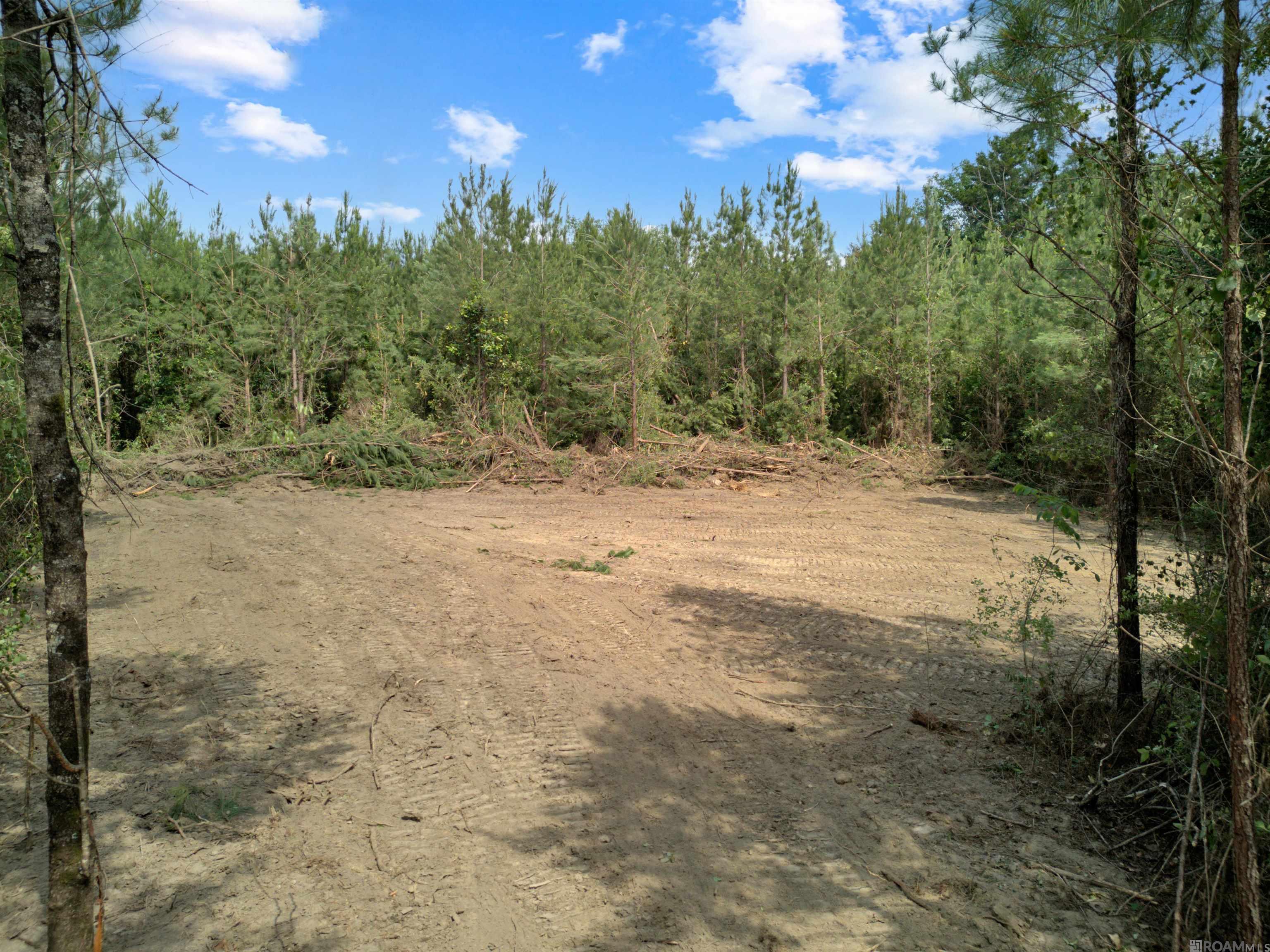 Lot 1 Hwy 62, Franklinton, Louisiana image 6