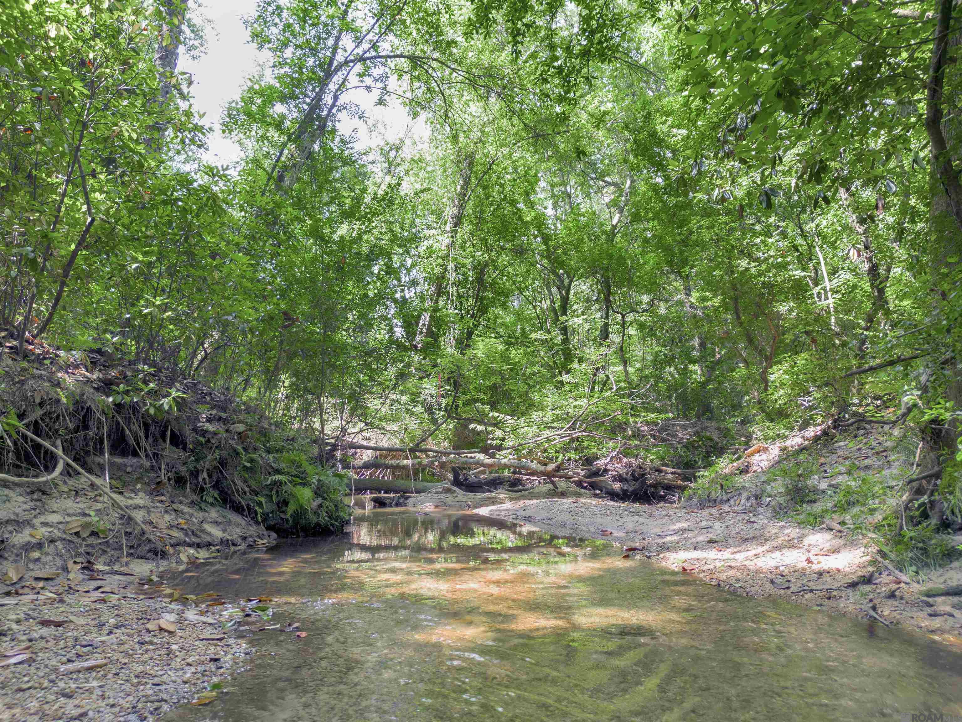 Lot 1 Hwy 62, Franklinton, Louisiana image 10
