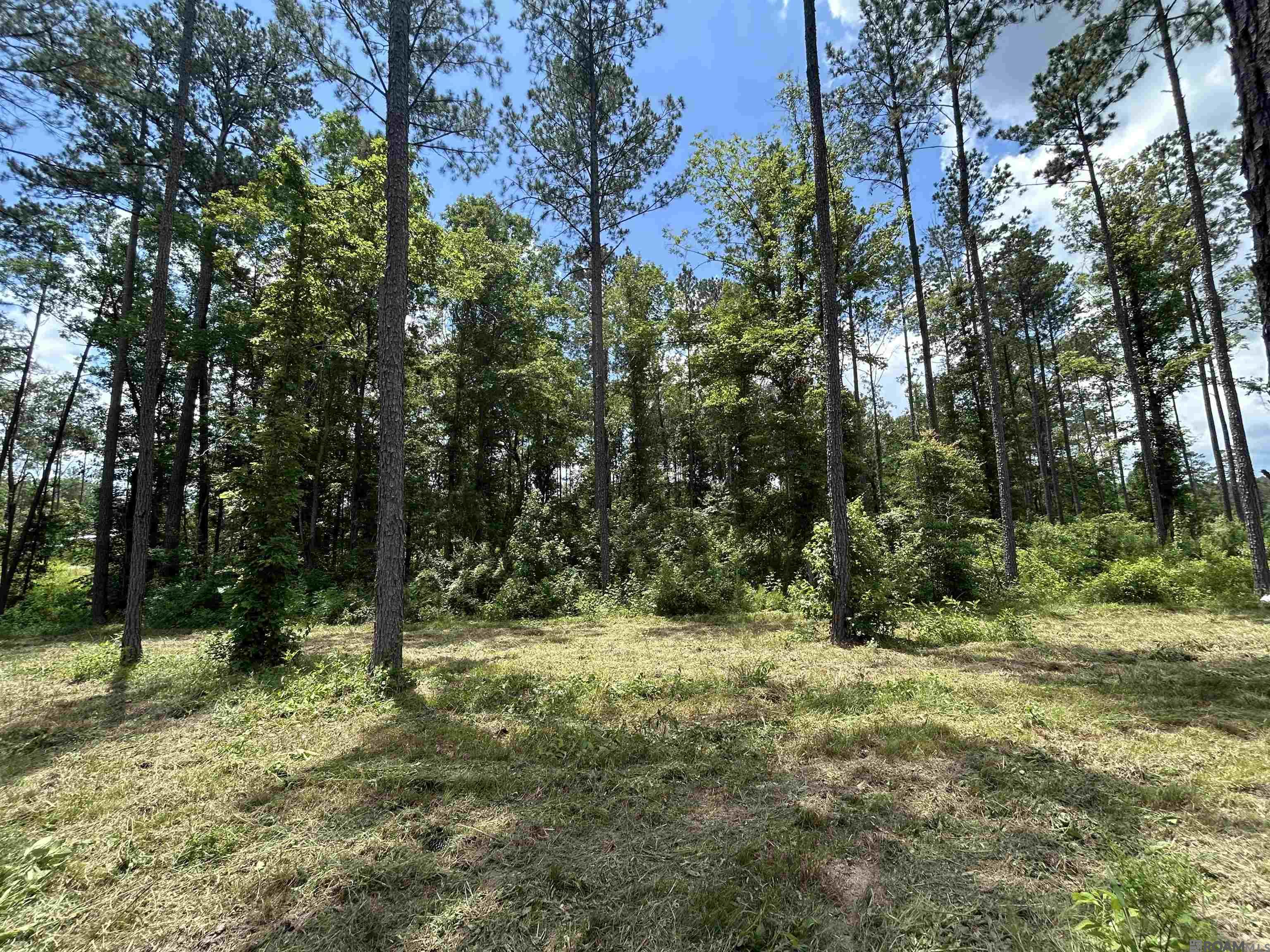 14856 Pace Rd, Clinton, Louisiana image 4