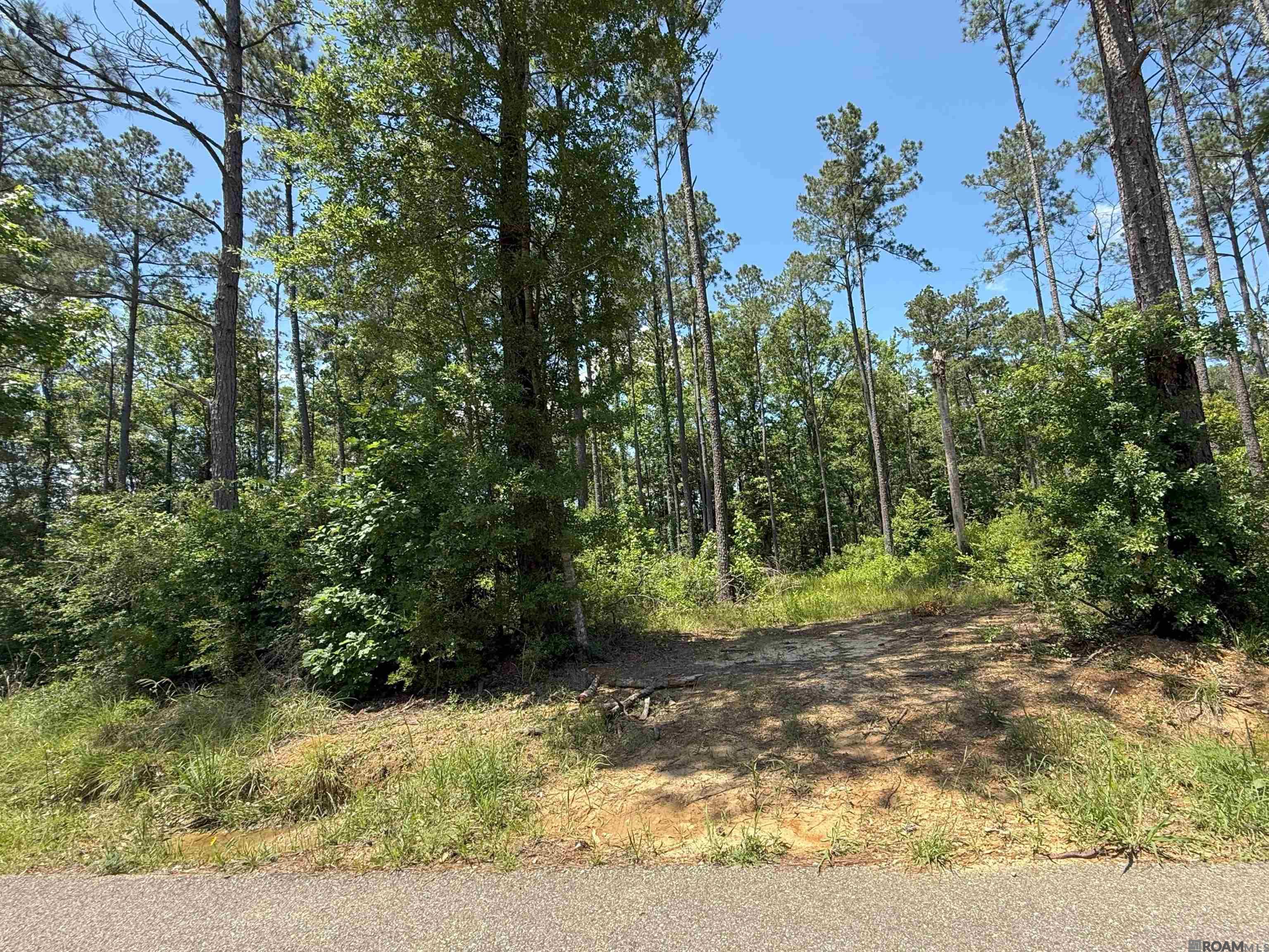 14856 Pace Rd, Clinton, Louisiana image 1