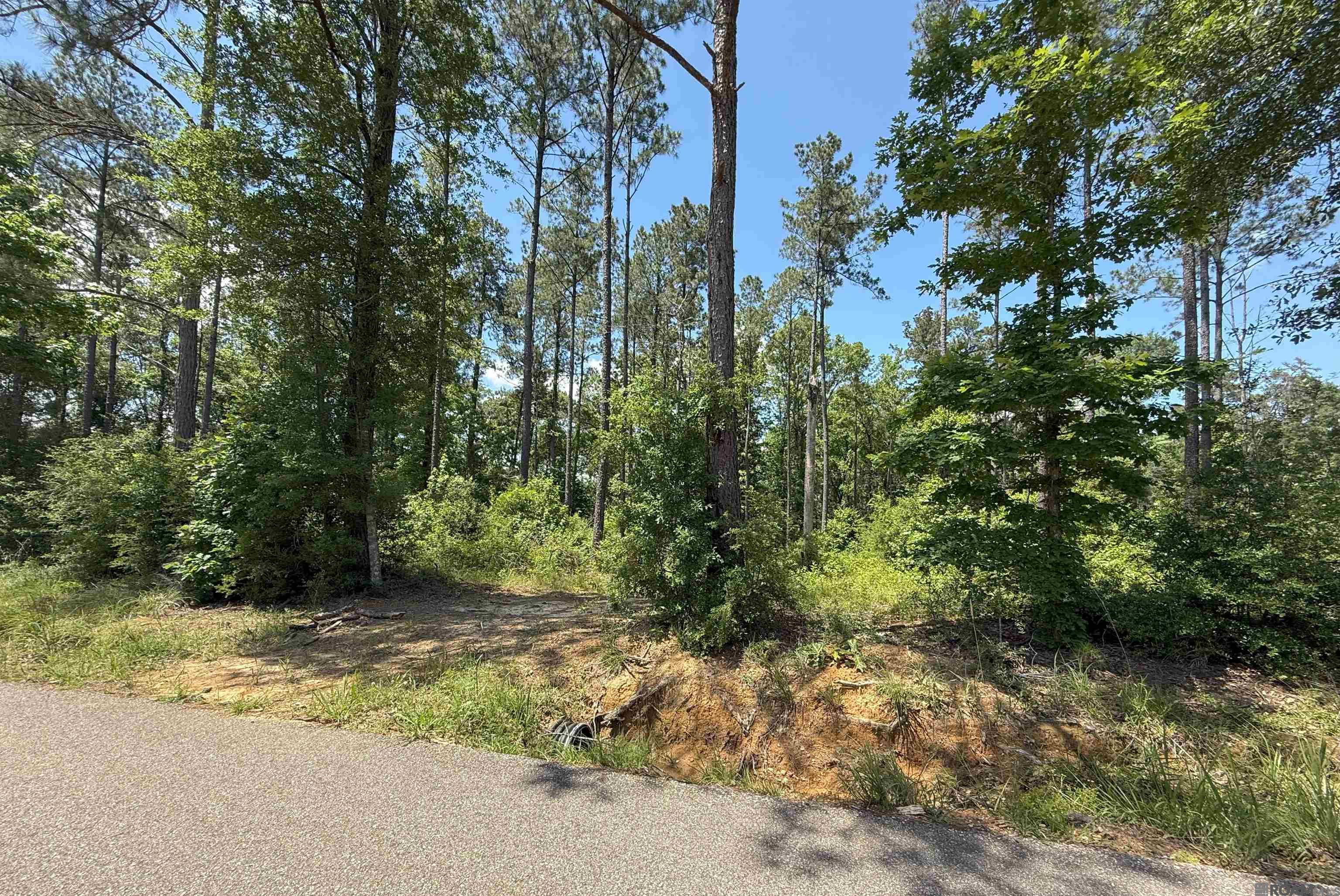 14856 Pace Rd, Clinton, Louisiana image 2