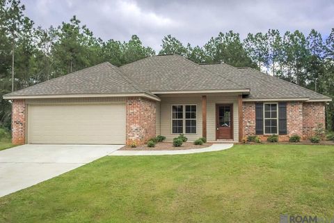 Homes For Sale - 58980 Martin Luther King Blvd<br/> Iberville County, Plaquemine, LA 70764