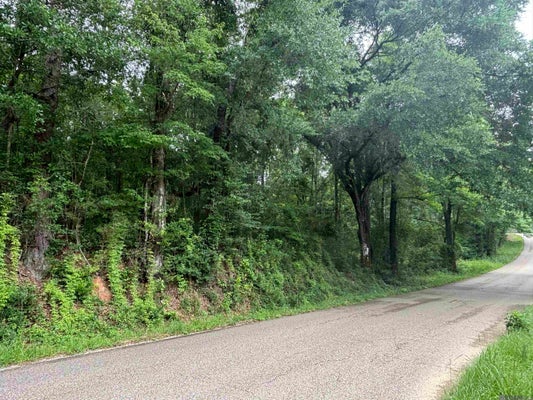 SIE JENKINS RD, BOGALUSA, LA 70427 - Image 4d62eab1e9e4bf897cb34d848b6b47ad/313361761