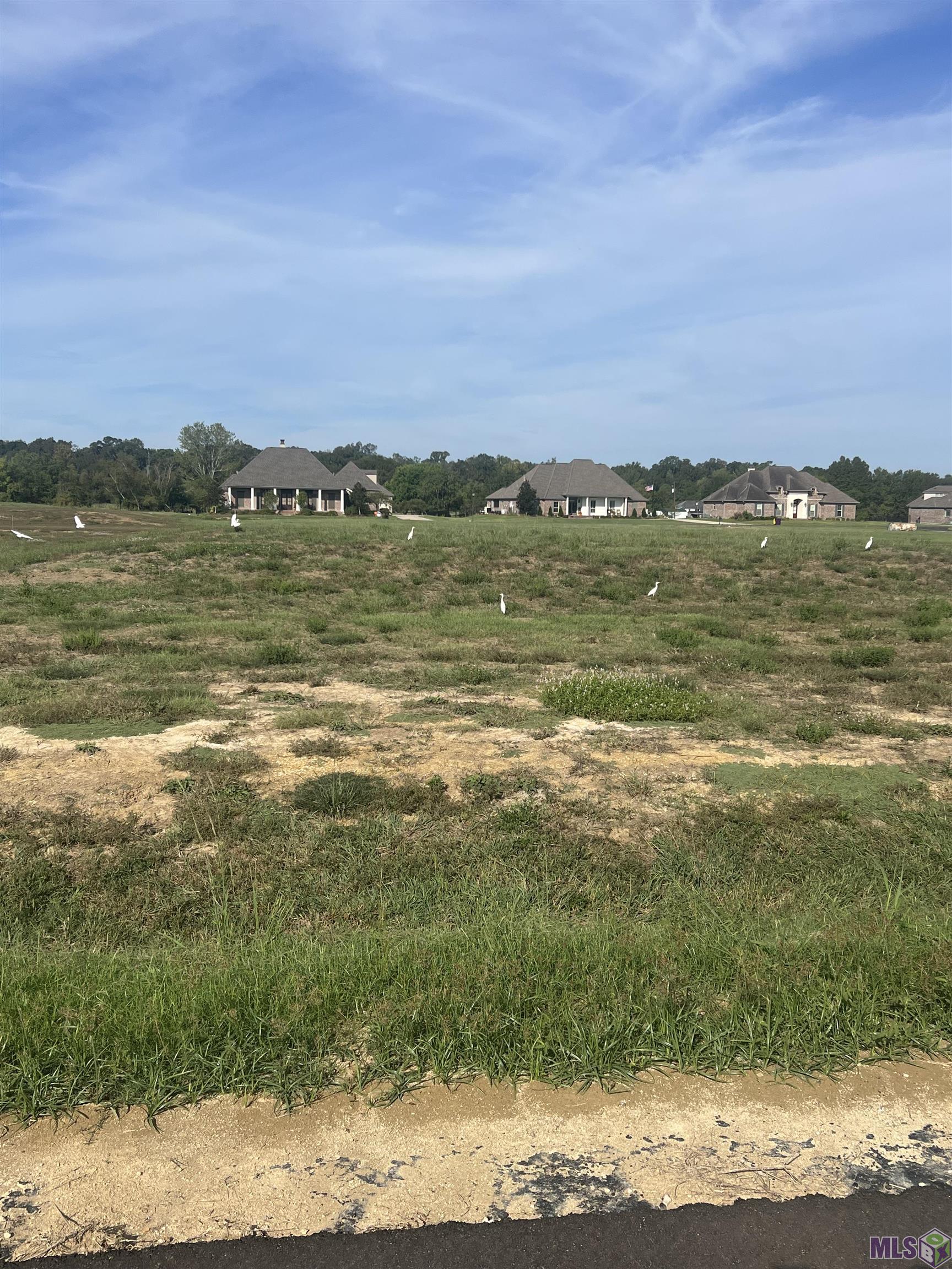 Lot # 25 Buddy Gore Rd, Gonzales, Louisiana image 5