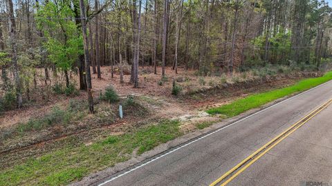 Vacant Land For Sale - 66042 La Hwy 1058<br/> Roseland, LA 70456