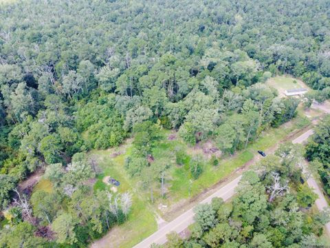 Vacant Land For Sale - 31519 La Hwy 1036<br/> Holden, LA 70744