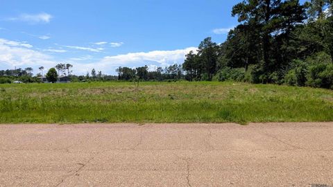 Vacant Land For Sale - 435 Tungoil Rd #LOT 2-B6<br/> Pine Grove, LA 70453