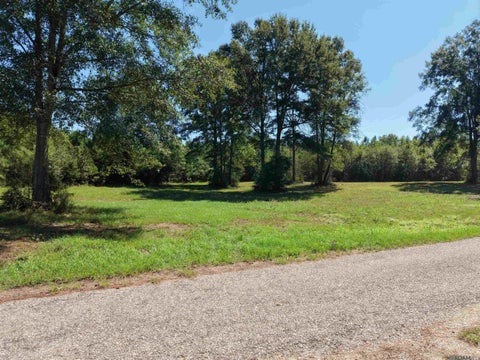 Vacant Land For Sale - TBD Hwy 1055<br/> Mount Hermon, LA 70450