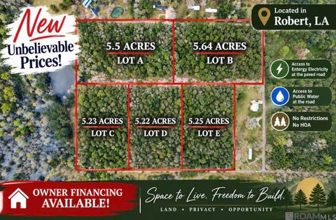 Vacant Land For Sale - 5.25 ACRES Heritage Acres Ln<br/> Robert, LA 70455