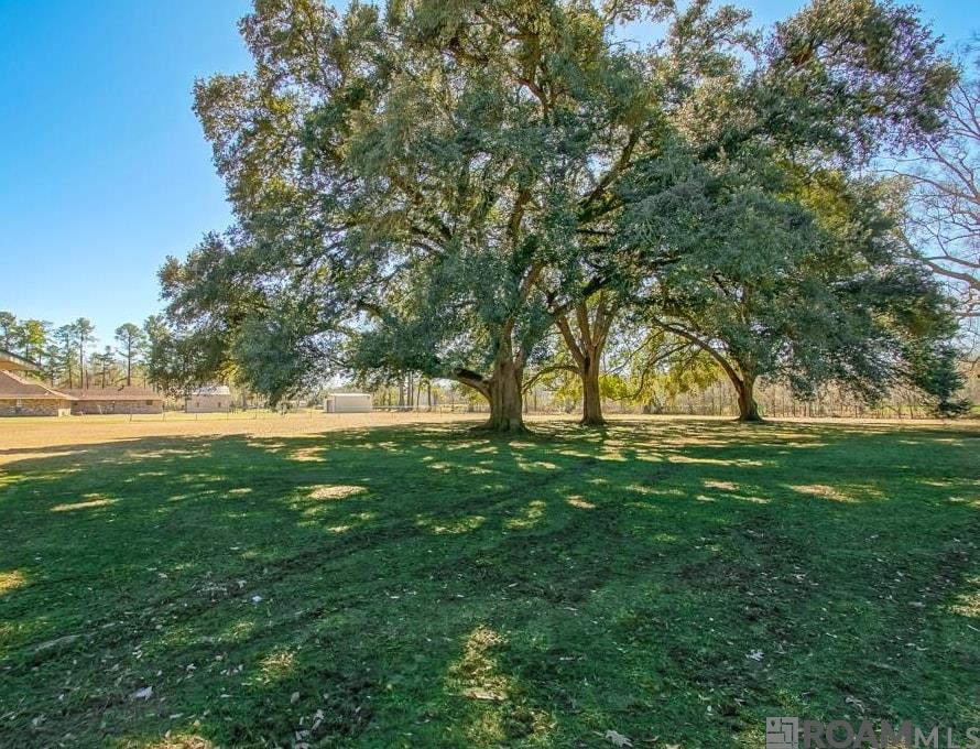 6915 Greenmeadow Dr, Greenwell Springs, Louisiana image 31