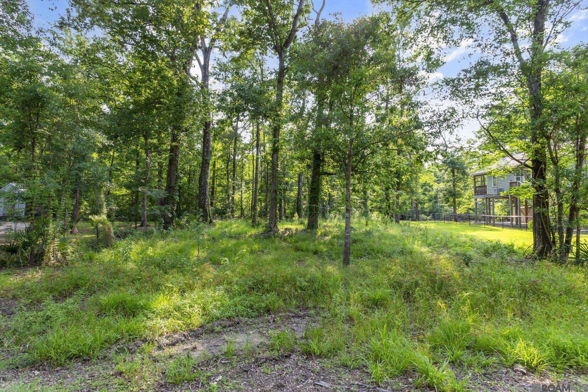17381 Lake St, Prairieville, Louisiana image 1