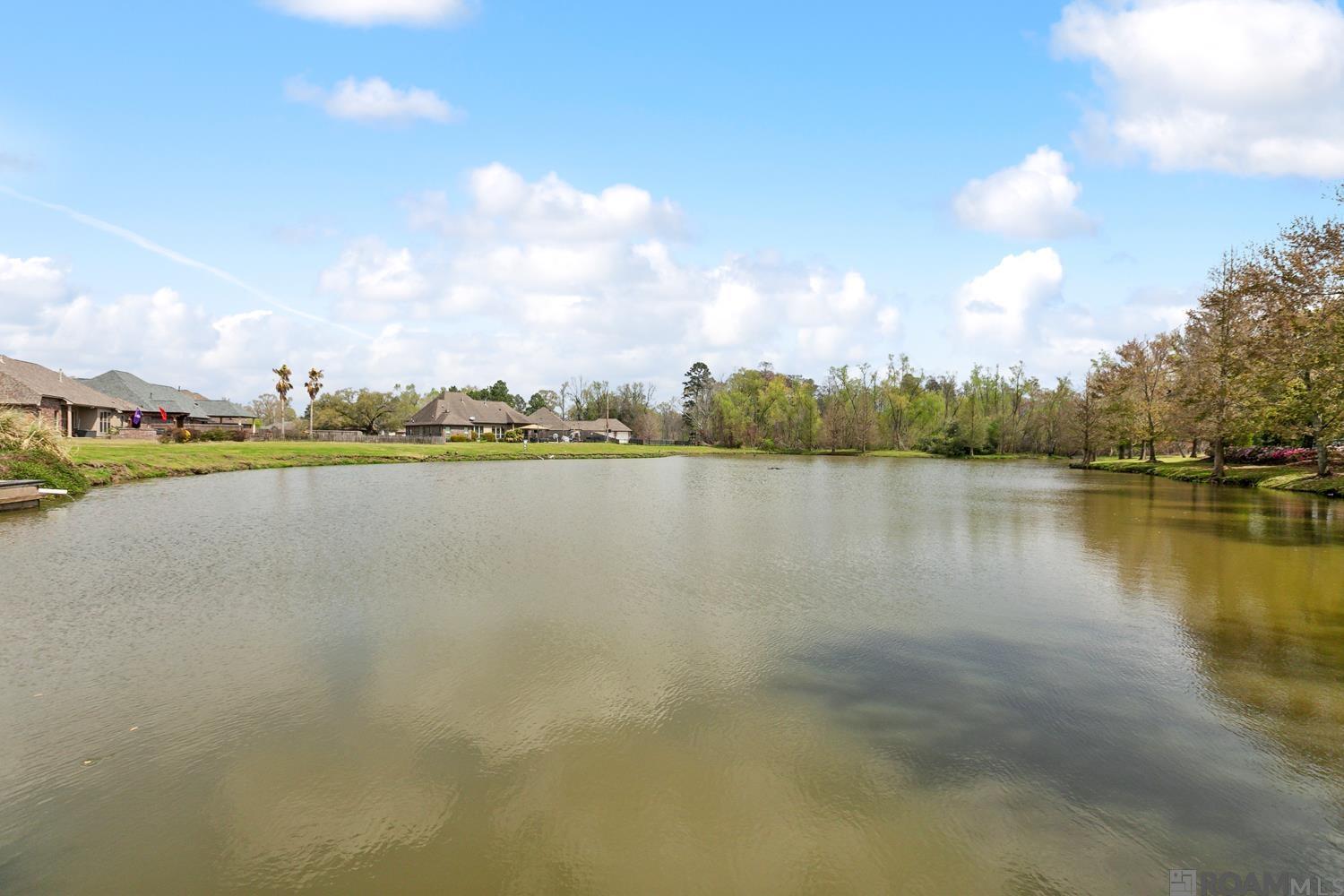 13098 Moss Pointe Dr, Geismar, Louisiana image 30