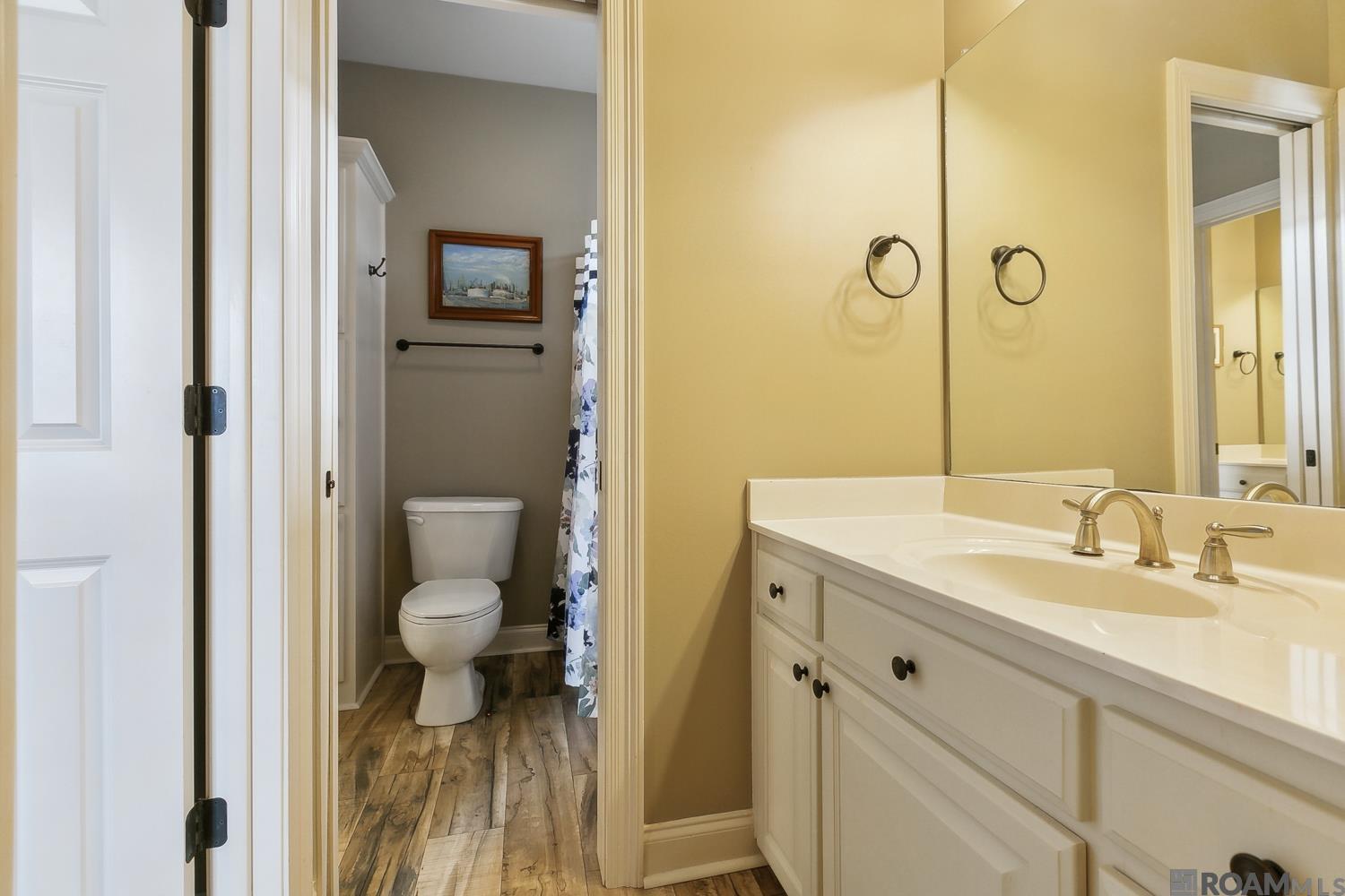13098 Moss Pointe Dr, Geismar, Louisiana image 18