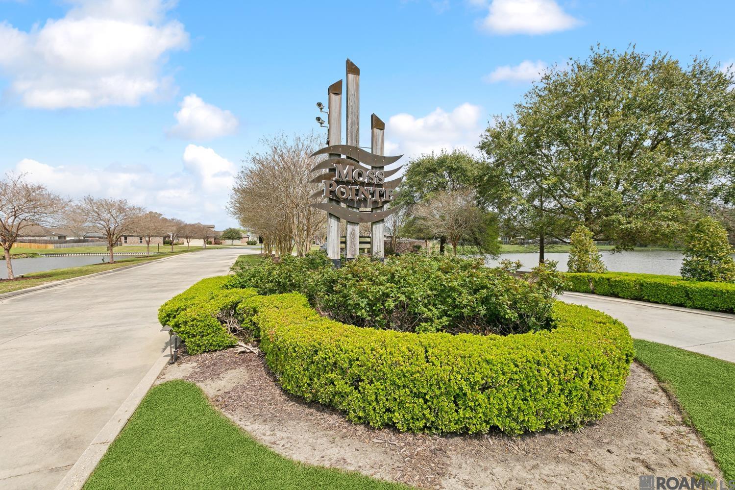 13098 Moss Pointe Dr, Geismar, Louisiana image 28
