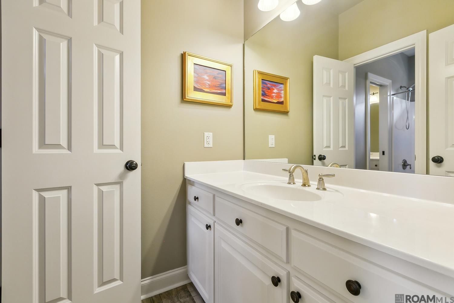 13098 Moss Pointe Dr, Geismar, Louisiana image 16