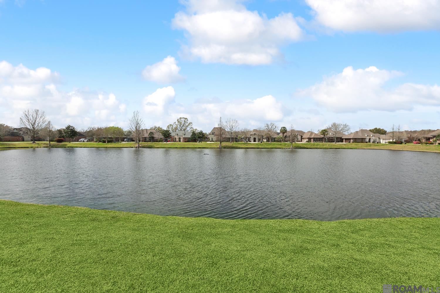 13098 Moss Pointe Dr, Geismar, Louisiana image 29