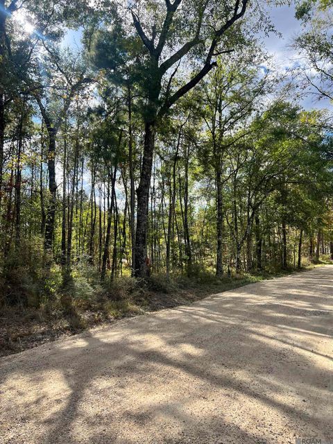 Vacant Land For Sale - LOT 53 Nesom Rd<br/> Saint Helena County, Denham Springs, LA 70706