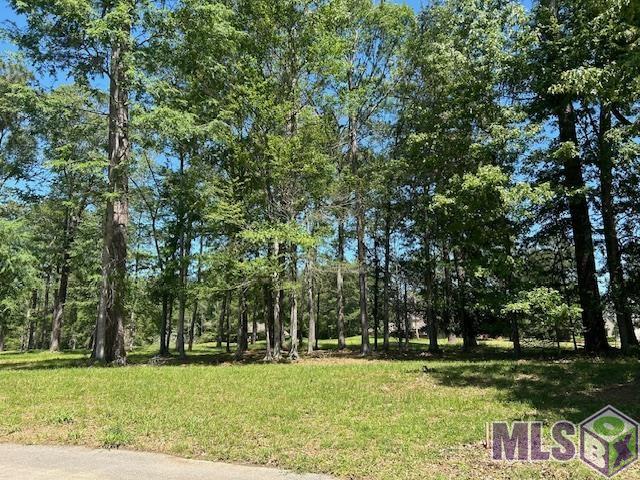 6041 Clayton Ct, Saint Francisville, Louisiana image 9