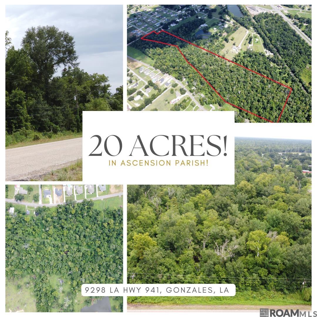 9298 La Hwy 941, Gonzales, Louisiana image 2
