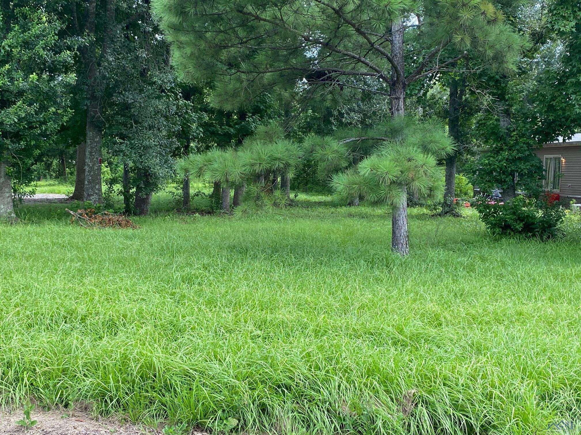 1231 Coteau Rd, Houma, Louisiana image 1