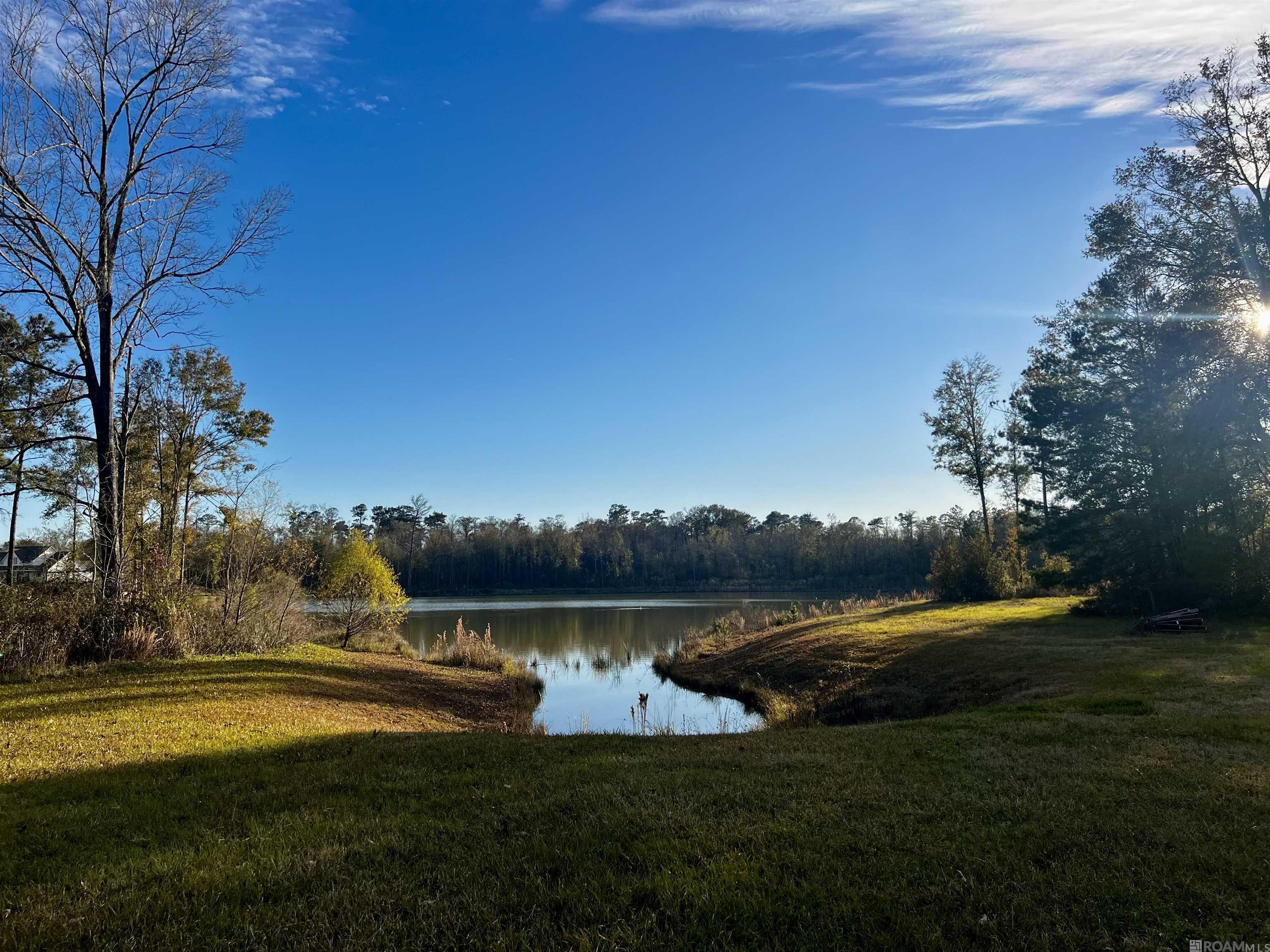 43256 Collyns Cove, Prairieville, Louisiana image 5