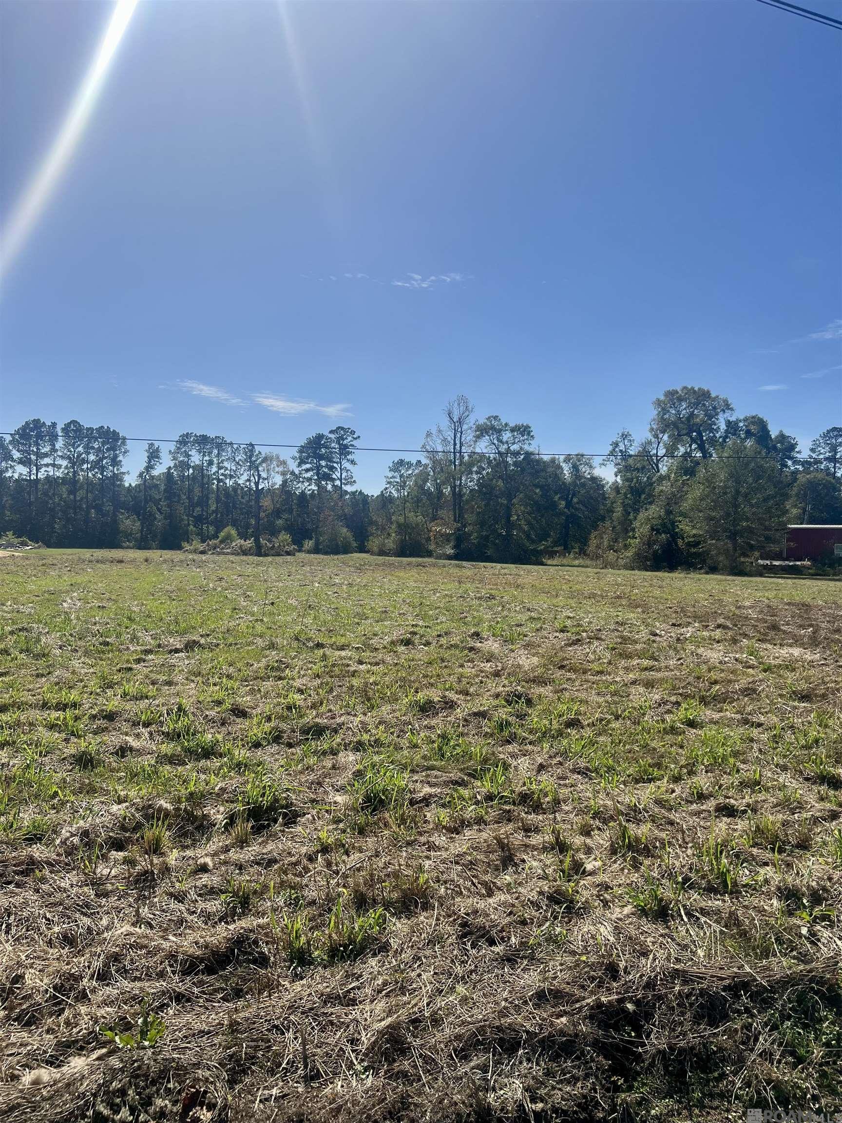 CC-2-A & B Herman Ernest Dr, Denham Springs, Louisiana image 5