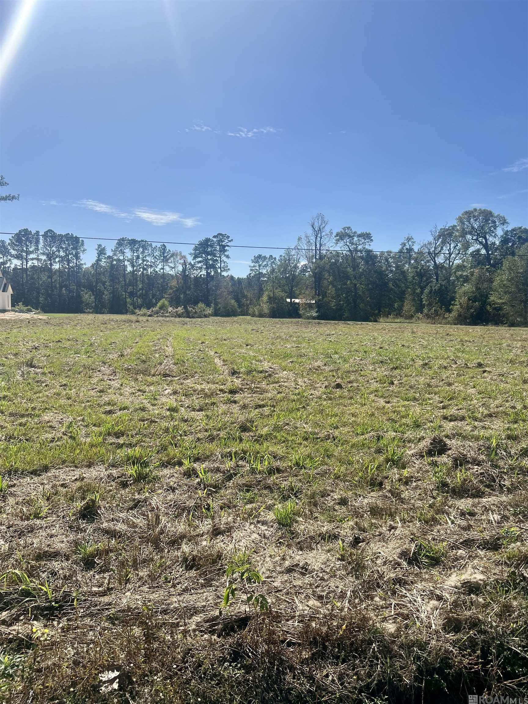 CC-2-A & B Herman Ernest Dr, Denham Springs, Louisiana image 2