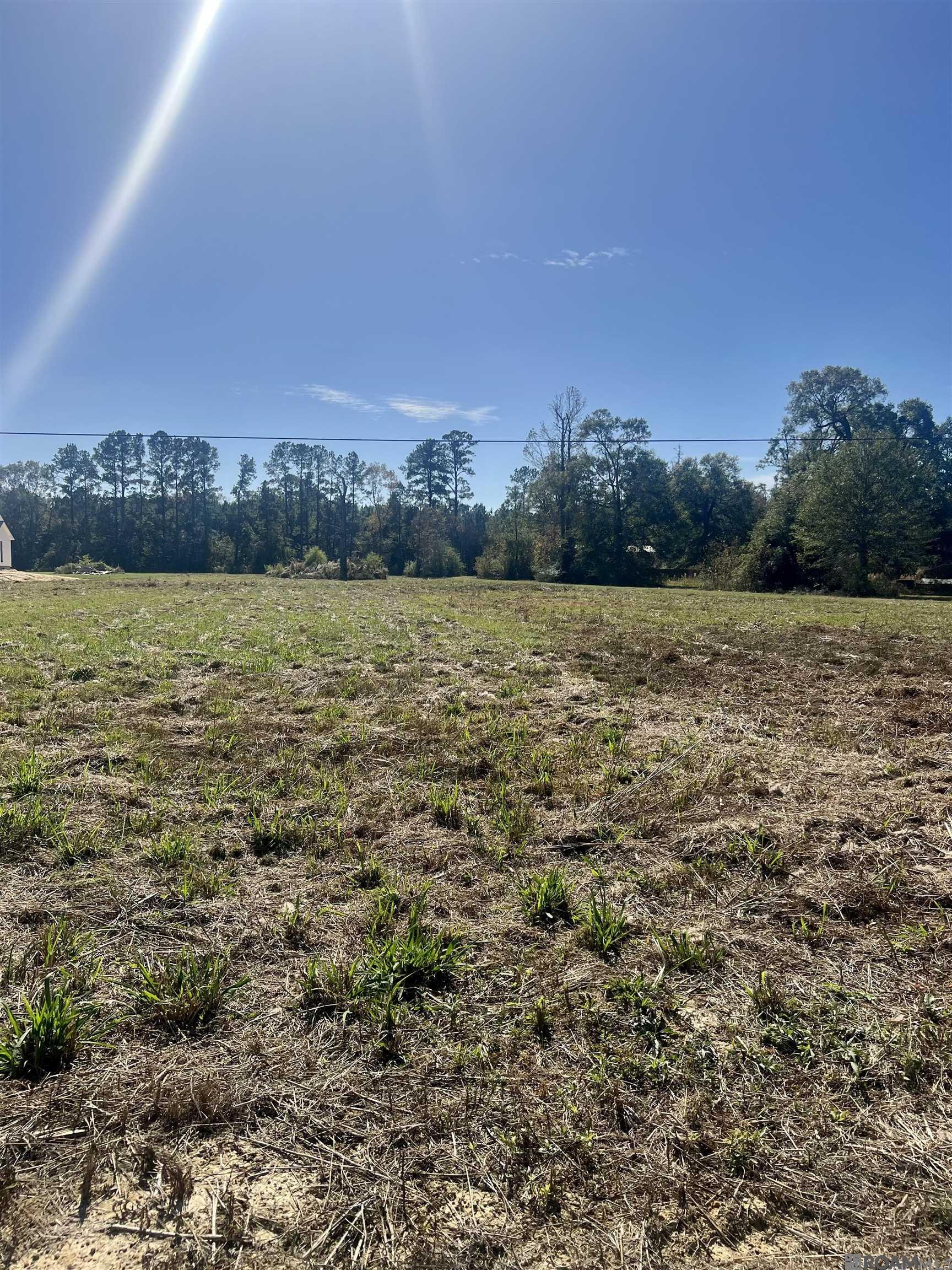 CC-2-A & B Herman Ernest Dr, Denham Springs, Louisiana image 1