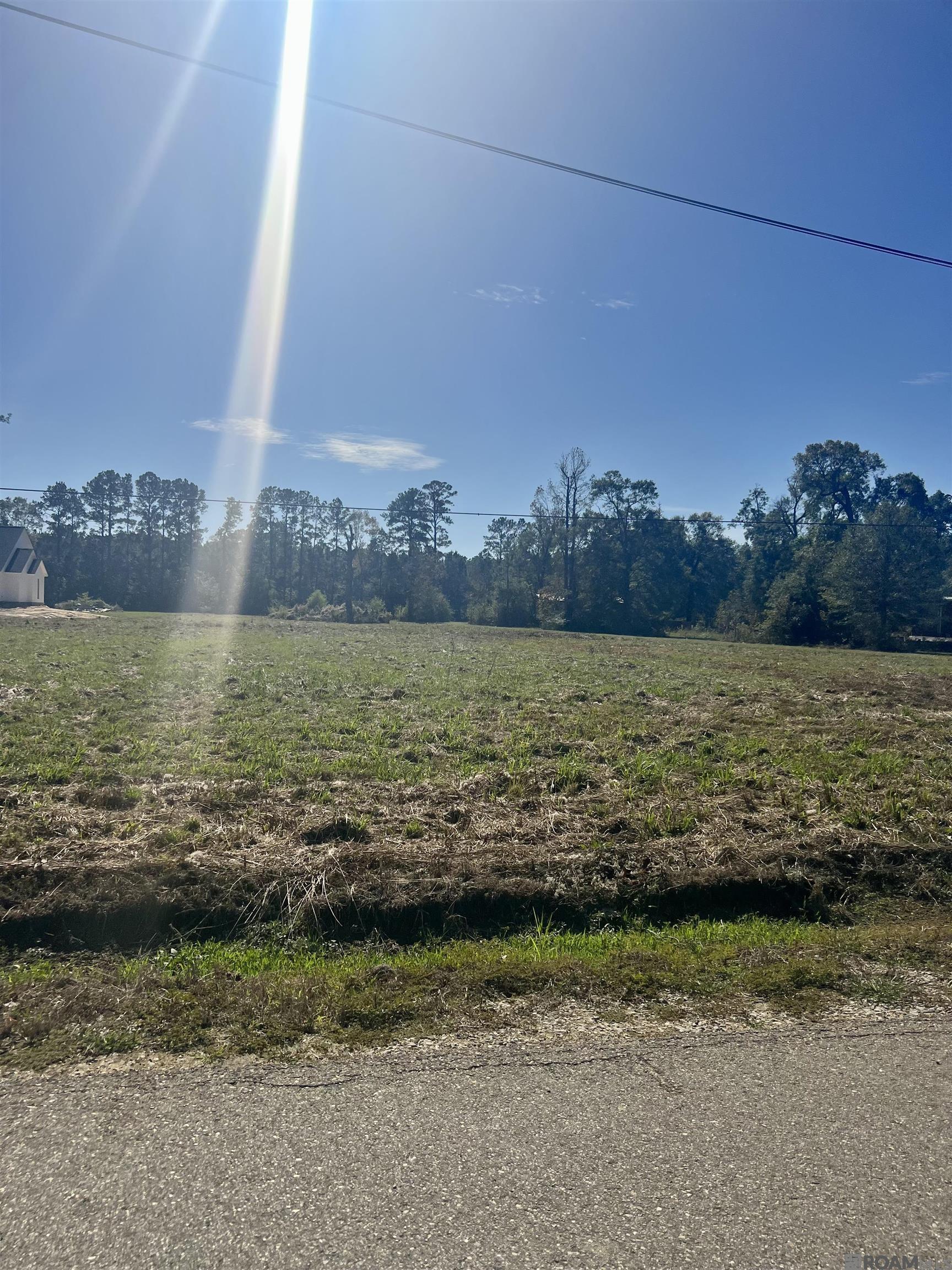 CC-2-A & B Herman Ernest Dr, Denham Springs, Louisiana image 3