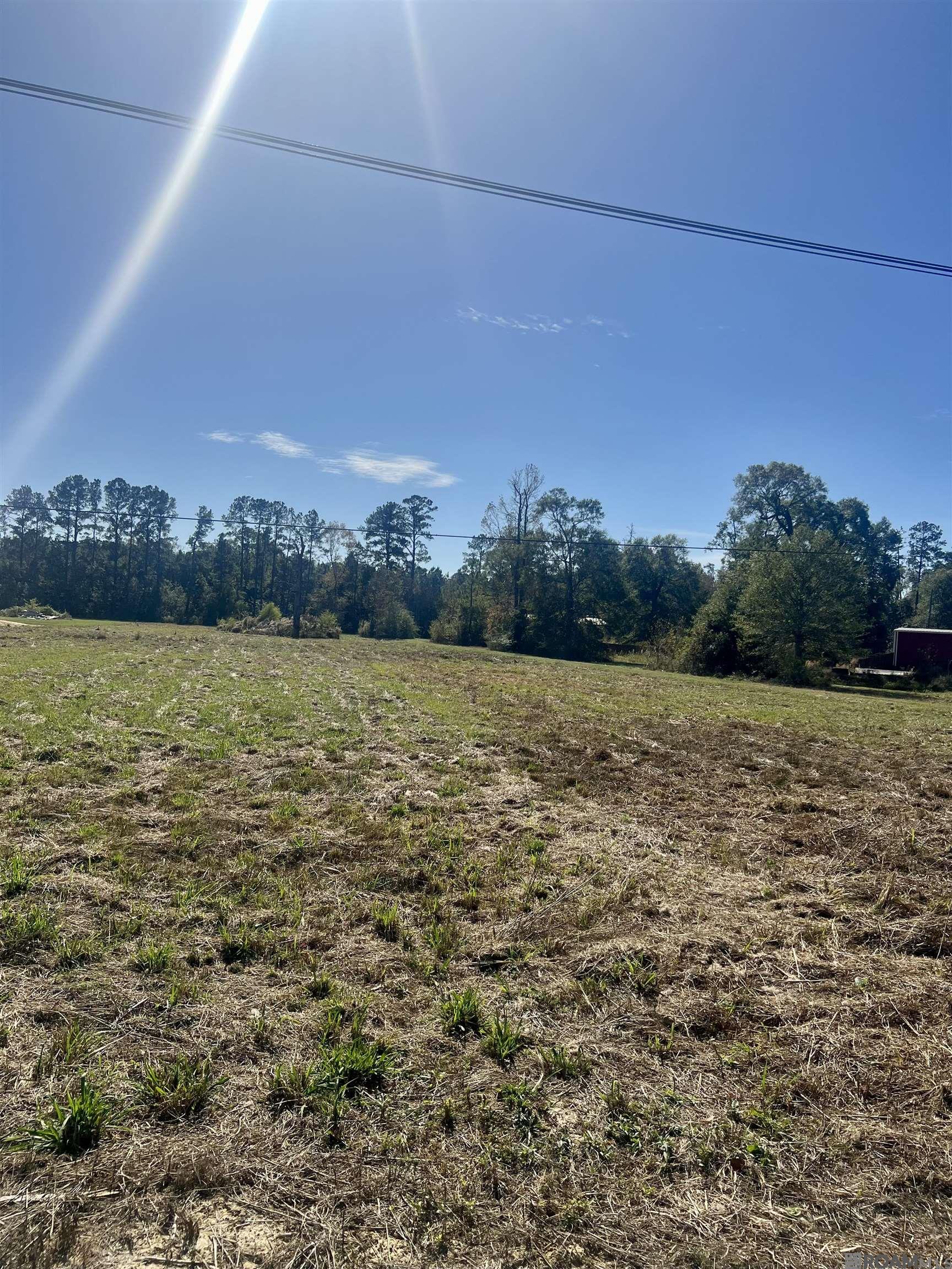 CC-2-A & B Herman Ernest Dr, Denham Springs, Louisiana image 4