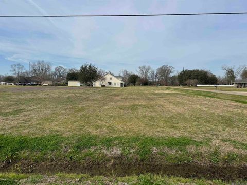 Vacant Land For Sale - TBD Mosher Rd<br/> Pointe Coupee County, Livonia, LA 70755