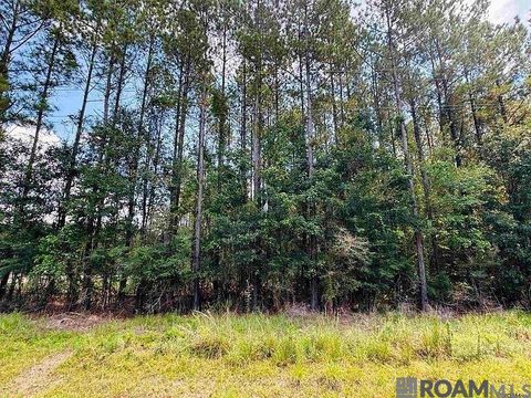 Vacant Land For Sale - LOT 4 La Hwy 449<br/> Saint Helena County, Pine Grove, LA 70453