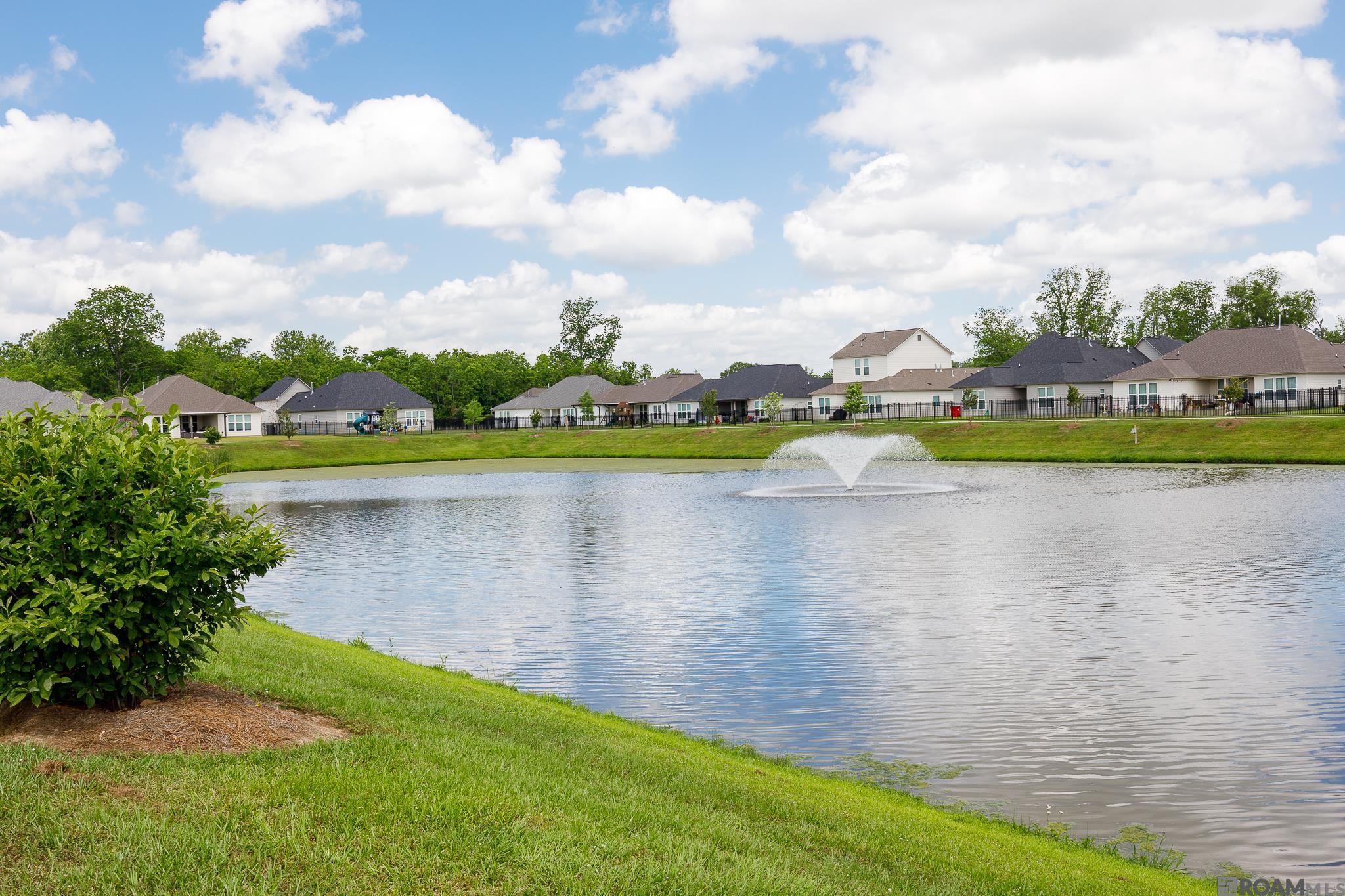 39262 Bridge Path Ln, Gonzales, Louisiana image 26