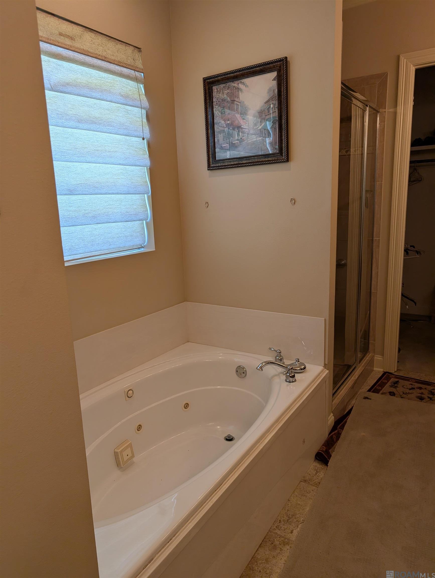 8473 Lemarie Ct, Denham Springs, Louisiana image 7