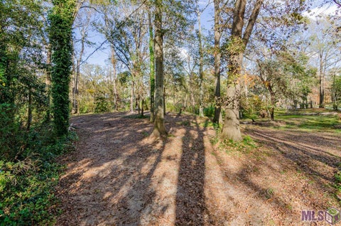 Vacant Land For Sale - 36608 Swamp Rd<br/> Prairieville, LA 70769
